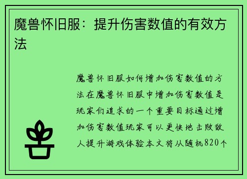 魔兽怀旧服：提升伤害数值的有效方法